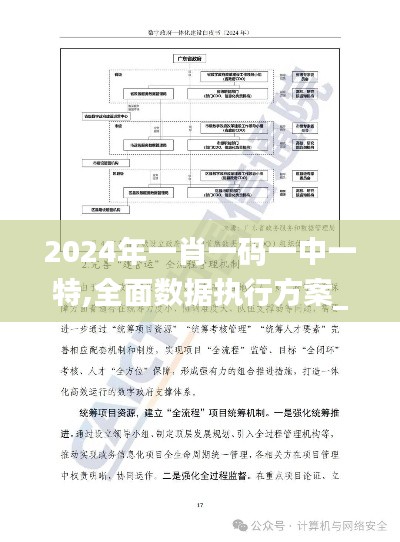 2024年一肖一码一中一特,全面数据执行方案_DX版75.547-7