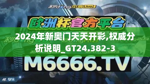 2024年新奥门天天开彩,权威分析说明_GT24.382-3