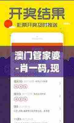 澳门管家婆-肖一码,现状解析说明_2DM40.417-1