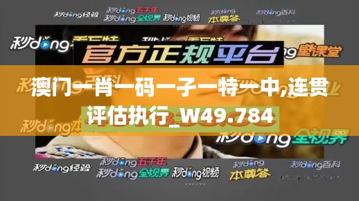澳门一肖一码一孑一特一中,连贯评估执行_W49.784