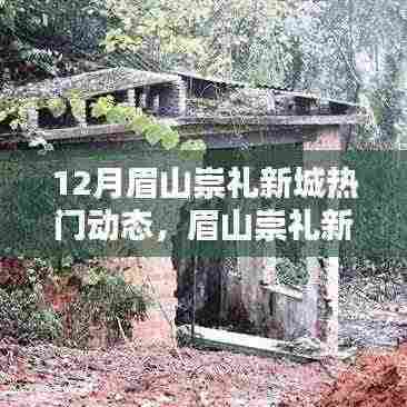 眉山崇礼新城十二月热门动态深度解析与解读