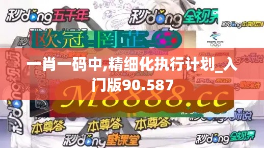 一肖一码中,精细化执行计划_入门版90.587