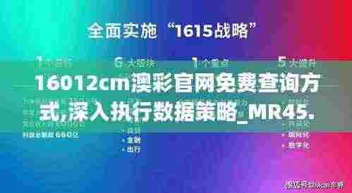 16012cm澳彩官网免费查询方式,深入执行数据策略_MR45.480