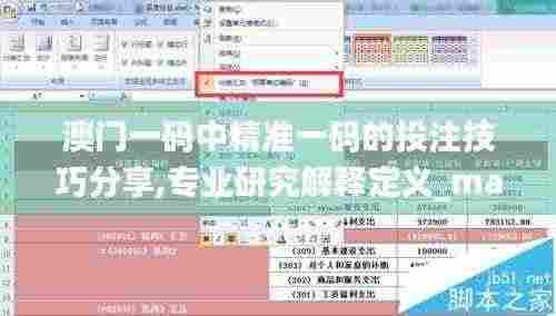 澳门一码中精准一码的投注技巧分享,专业研究解释定义_macOS65.897
