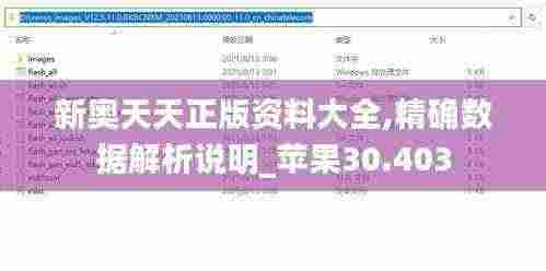 新奥天天正版资料大全,精确数据解析说明_苹果30.403