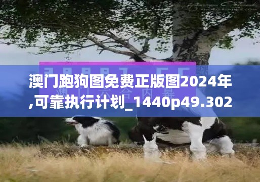 澳门跑狗图免费正版图2024年,可靠执行计划_1440p49.302
