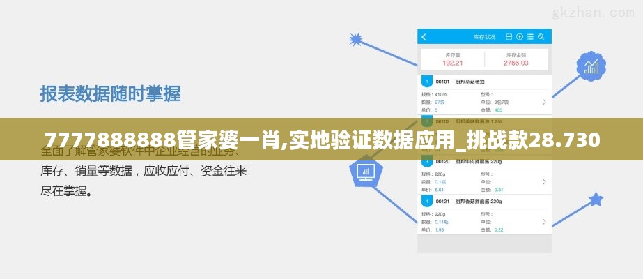 7777888888管家婆一肖,实地验证数据应用_挑战款28.730
