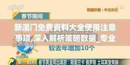 新澳门免费资料大全使用注意事项,深入解析策略数据_专业版60.691