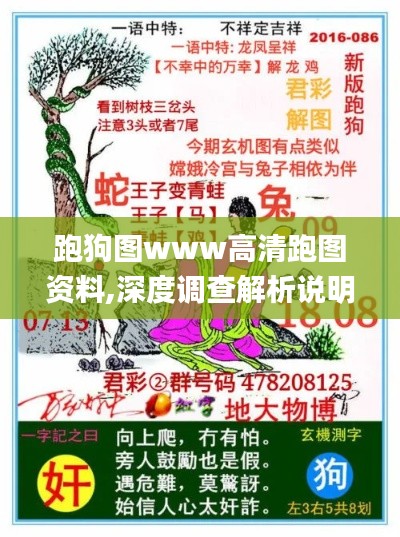 跑狗图www高清跑图资料,深度调查解析说明_eShop167.877
