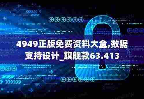 4949正版免费资料大全,数据支持设计_旗舰款63.413