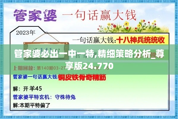管家婆必出一中一特,精细策略分析_尊享版24.770