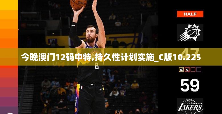 今晚澳门12码中特,持久性计划实施_C版10.225