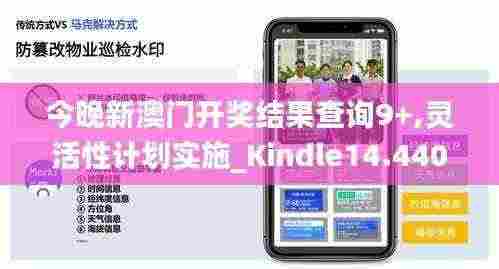 今晚新澳门开奖结果查询9+,灵活性计划实施_Kindle14.440