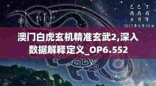 澳门白虎玄机精准玄武2,深入数据解释定义_OP6.552