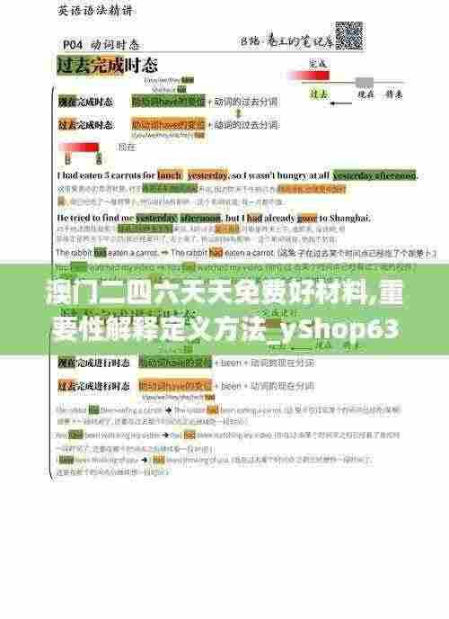 澳门二四六天天免费好材料,重要性解释定义方法_yShop63.327