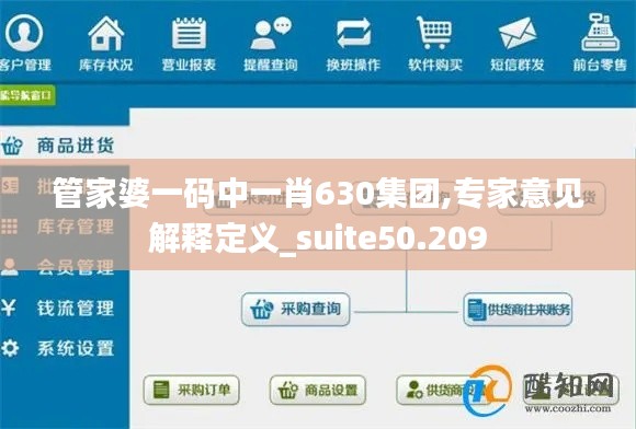 管家婆一码中一肖630集团,专家意见解释定义_suite50.209