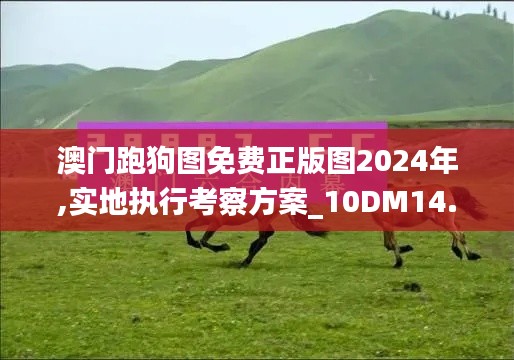 澳门跑狗图免费正版图2024年,实地执行考察方案_10DM14.202