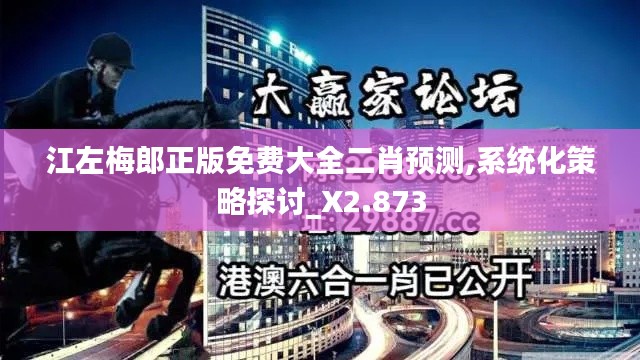 江左梅郎正版免费大全二肖预测,系统化策略探讨_X2.873