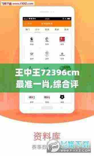 王中王72396cm最准一肖,综合评估解析说明_微型版7.672
