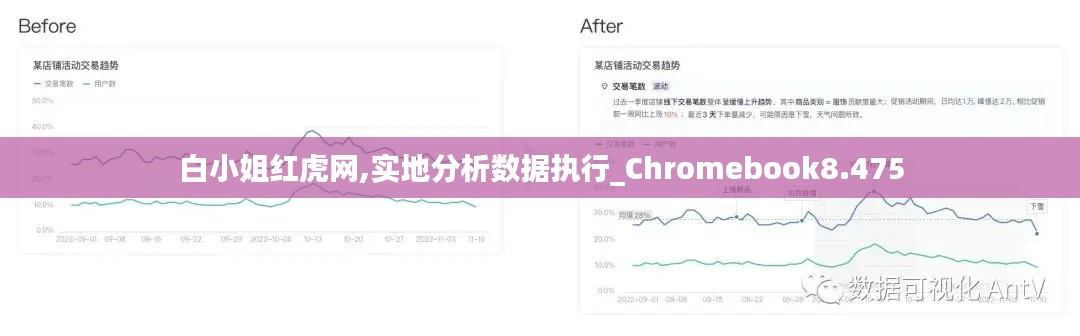 白小姐红虎网,实地分析数据执行_Chromebook8.475