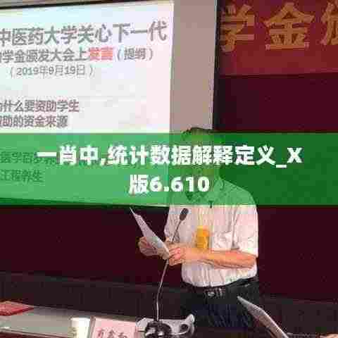 一肖中,统计数据解释定义_X版6.610