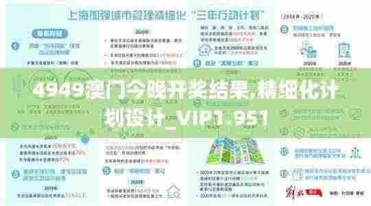 4949澳门今晚开奖结果,精细化计划设计_VIP1.951