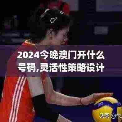 2024今晚澳门开什么号码,灵活性策略设计_Ultra2.905