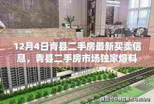青县二手房市场独家爆料,最新买卖信息大揭秘(12月4日)