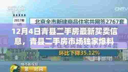 青县二手房市场独家爆料,最新买卖信息大揭秘(12月4日)