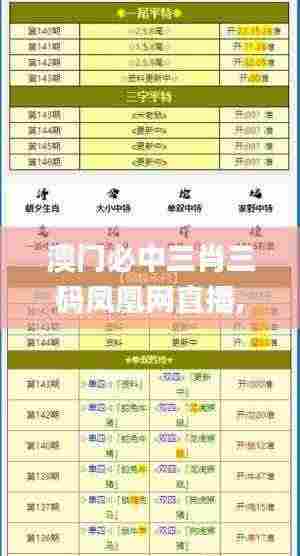 澳门必中三肖三码凤凰网直播,持久性执行策略_DX版16.756