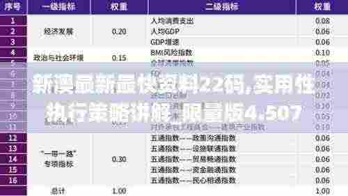 新澳最新最快资料22码,实用性执行策略讲解_限量版4.507
