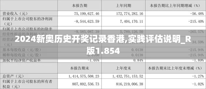 2024新奥历史开奖记录香港,实践评估说明_R版1.854