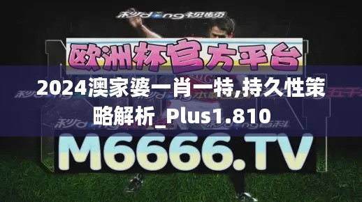 2024澳家婆一肖一特,持久性策略解析_Plus1.810