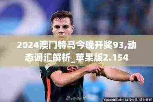 2024澳门特马今晚开奖93,动态词汇解析_苹果版2.154