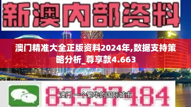 澳门精准大全正版资料2024年,数据支持策略分析_尊享款4.663