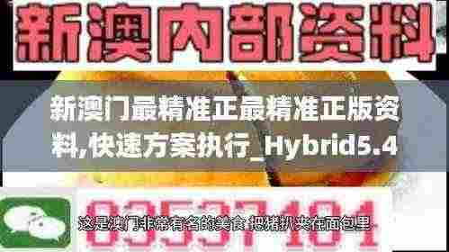 新澳门最精准正最精准正版资料,快速方案执行_Hybrid5.451