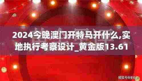 2024今晚澳门开特马开什么,实地执行考察设计_黄金版13.612