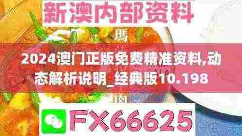 2024澳门正版免费精准资料,动态解析说明_经典版10.198