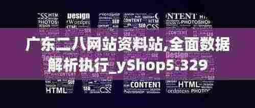 广东二八网站资料站,全面数据解析执行_yShop5.329