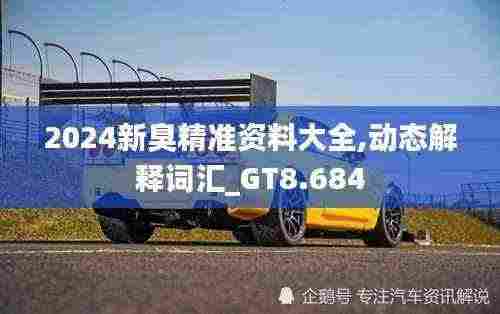 2024新臭精准资料大全,动态解释词汇_GT8.684