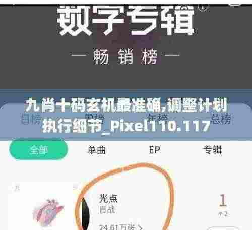 九肖十码玄机最准确,调整计划执行细节_Pixel110.117