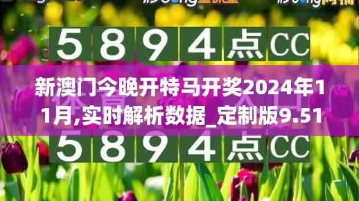 新澳门今晚开特马开奖2024年11月,实时解析数据_定制版9.513