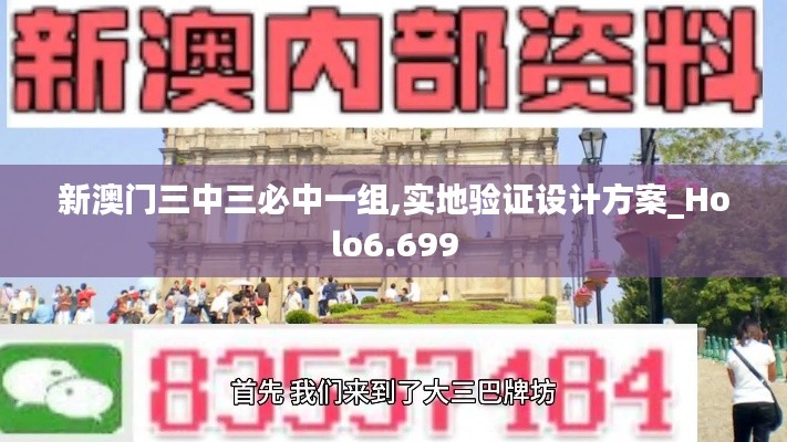 新澳门三中三必中一组,实地验证设计方案_Holo6.699