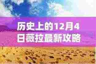 薇拉最新攻略,探寻自然美景之旅,于12月4日启程寻找内心的宁静与平和