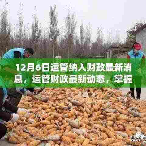 12月6日运管财政最新动态,纳入财政系统的步骤指南(适合初学者与进阶用户)