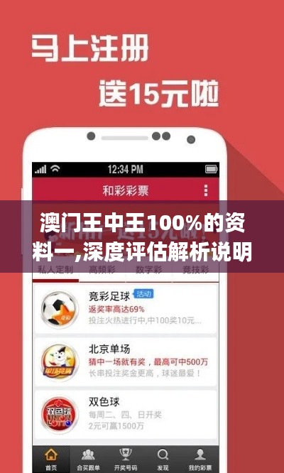 澳门王中王100%的资料一,深度评估解析说明_WP版1.192