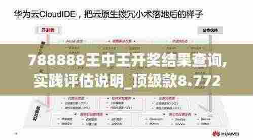 788888王中王开奖结果查询,实践评估说明_顶级款8.772