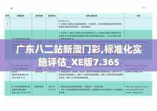 广东八二站新澳门彩,标准化实施评估_XE版7.365