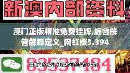 澳门正版精准免费挂牌,综合解答解释定义_网红版5.394