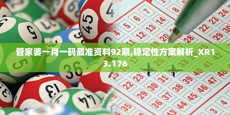 管家婆一肖一码最准资料92期,稳定性方案解析_XR13.176